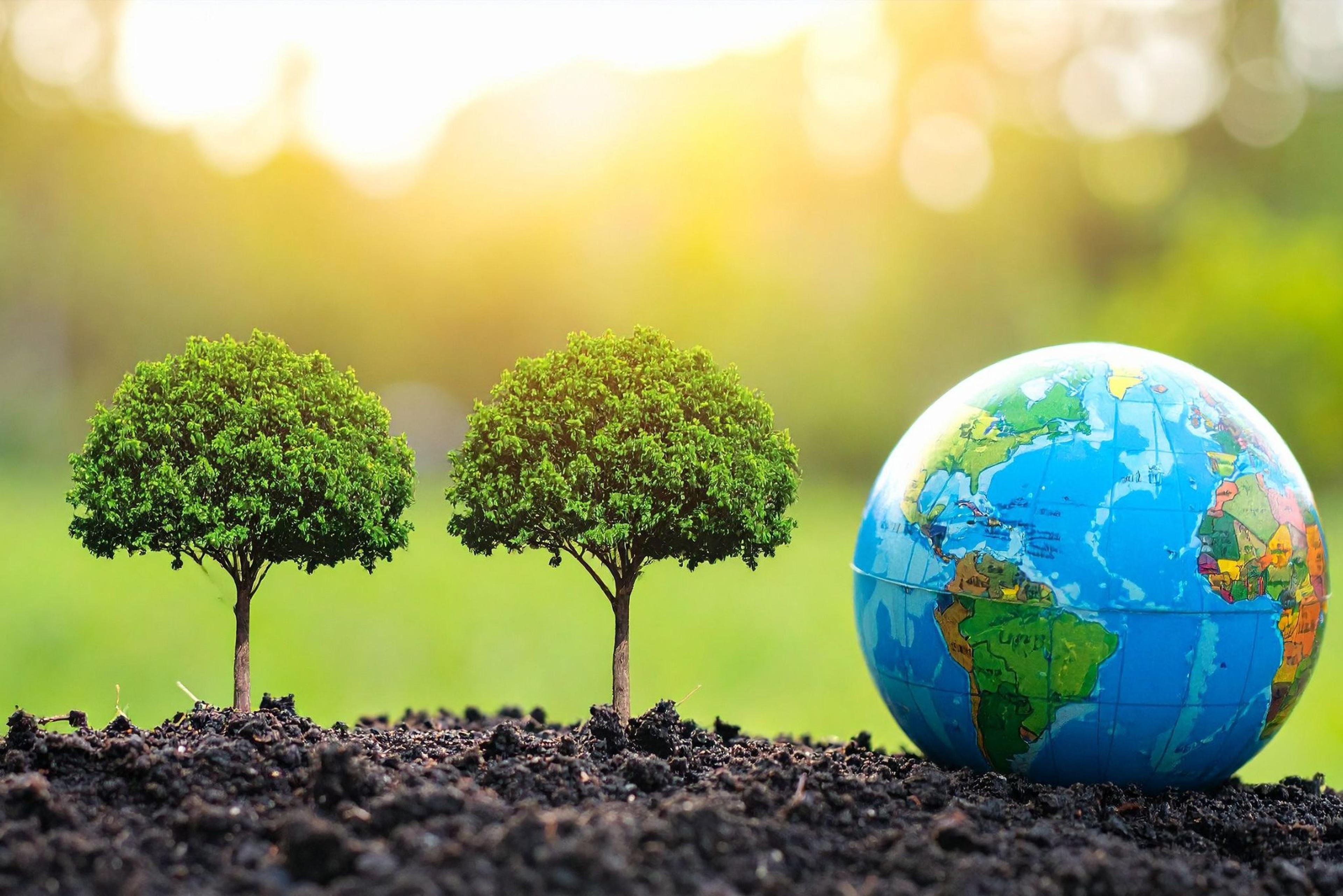 World Soil Day & Why Recycled Aggregates Matter More Than Ever